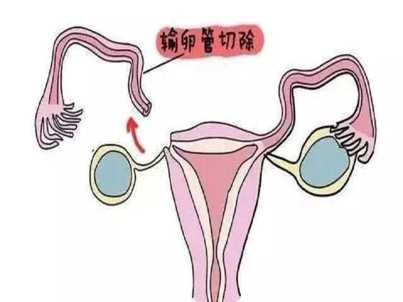内蒙供卵代孕机构，可以找人代孕试管婴儿吗？在中国找代孕妈妈违法吗？