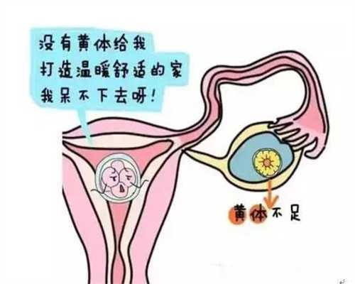 衡州代孕医院：中医治疗男性不育