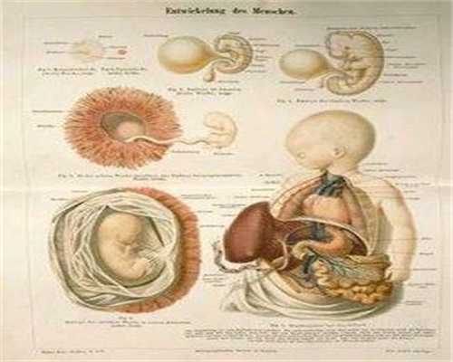 衡州关于代孕的地方规定：试管婴儿孕早期做阴