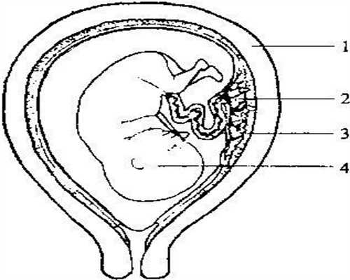 找代孕合法吗，输卵管性不孕有八表现 治疗可优