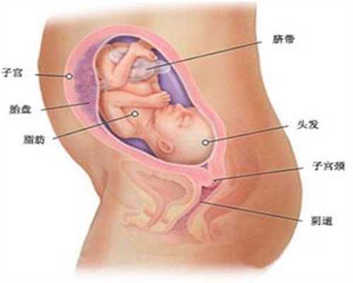 代孕哪家好，28天一超胎心胎芽都有了可还是会出