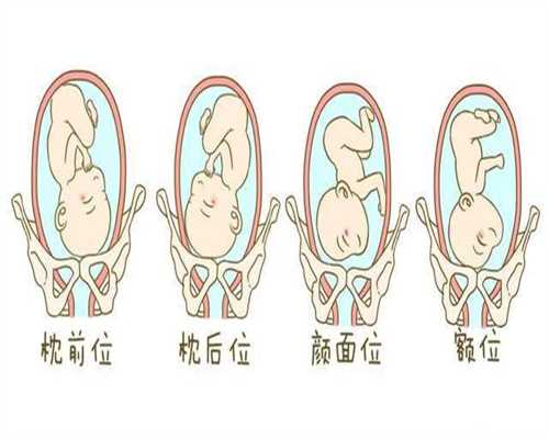 上海代孕网:备孕5个月仍不孕，是要去检查还是再