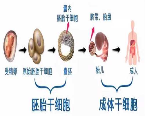 北京代孕网:卵巢癌的预防与最佳治疗方法有哪些