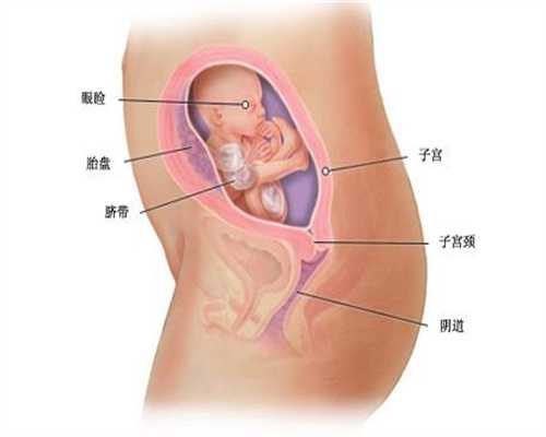 深圳代孕机构:患了卵巢癌在日常要注意什么？