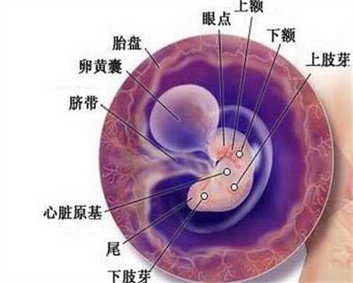 最了不起的代孕正规公司_上海市东方医院上海市