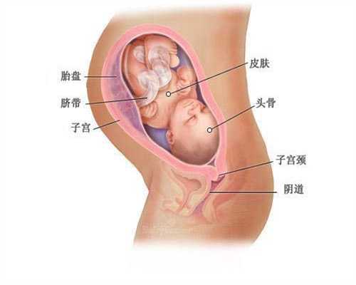 广州代孕最靠谱的公司_试管婴儿专家解析为何出