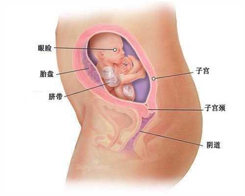 可靠上海世纪代怀孕机构_治疗男性不育的7大原则