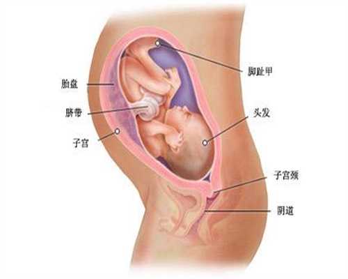 郑州代孕可以选择性别吗,代孕妇能吃杨梅吗代孕