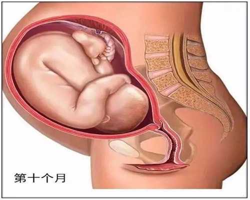 怎么找需要代孕的人_宫内膜增厚怎么治疗见效快
