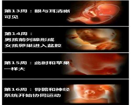 广州供卵代孕多少钱_内分泌失调性不孕有什么征