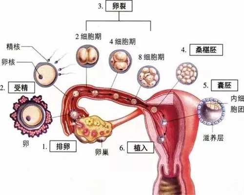 招代孕代孕妈妈？女性输卵管堵塞有什么症状_导