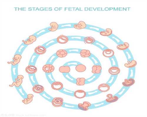 海西代孕工作·海西在家自测输卵管的方法女性在