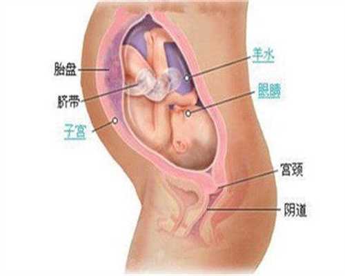 代孕的步骤_海外代孕机构_7个月代孕妇患妊娠糖