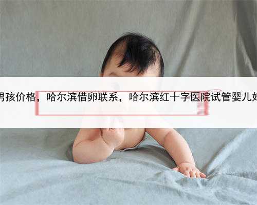 代孕包男孩价格，哈尔滨借卵联系，哈尔滨红十字医院试管婴儿好不好？