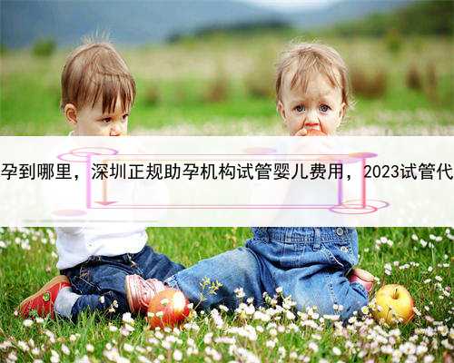 代孕产子网，深圳助孕到哪里，深圳正规助孕机构试管婴儿费用，2023试管代怀